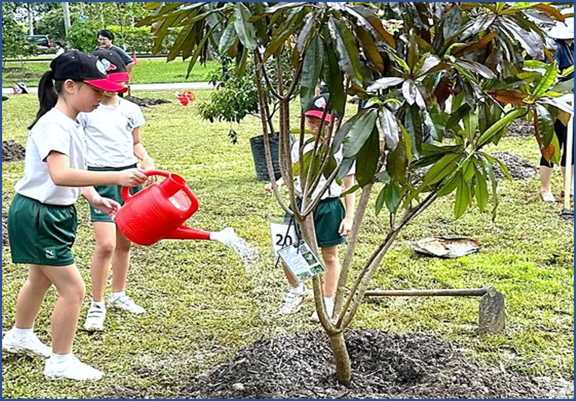 p6gamesday2023